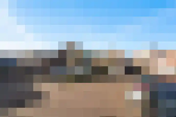 Molenbrink 24 Monster thumbnail 38
