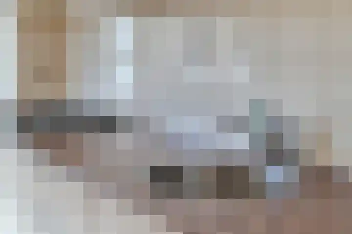 Molencamp 20 Rolde thumbnail 12