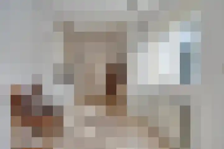 Molencamp 20 Rolde thumbnail 13