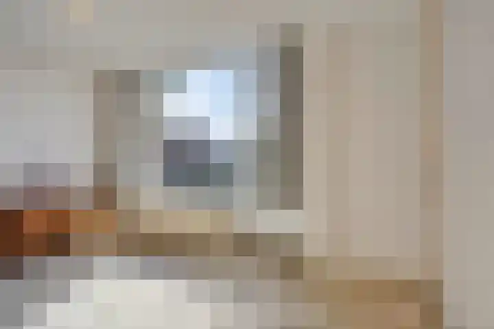 Molencamp 20 Rolde thumbnail 20