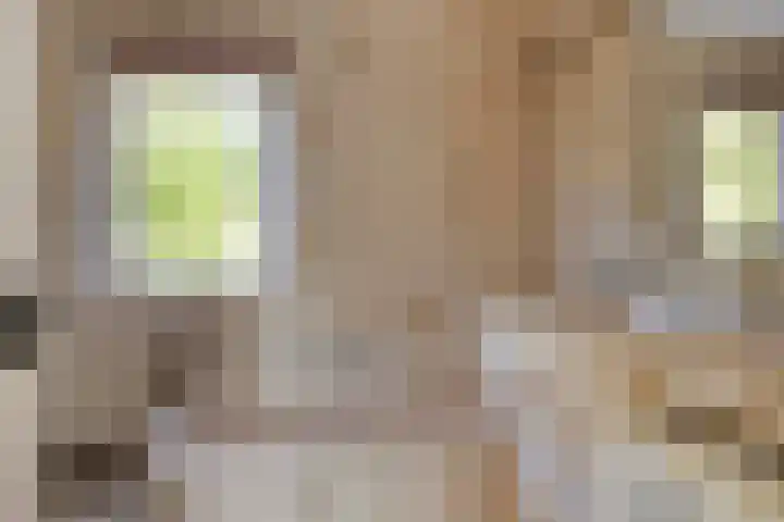 Molencamp 20 Rolde thumbnail 27