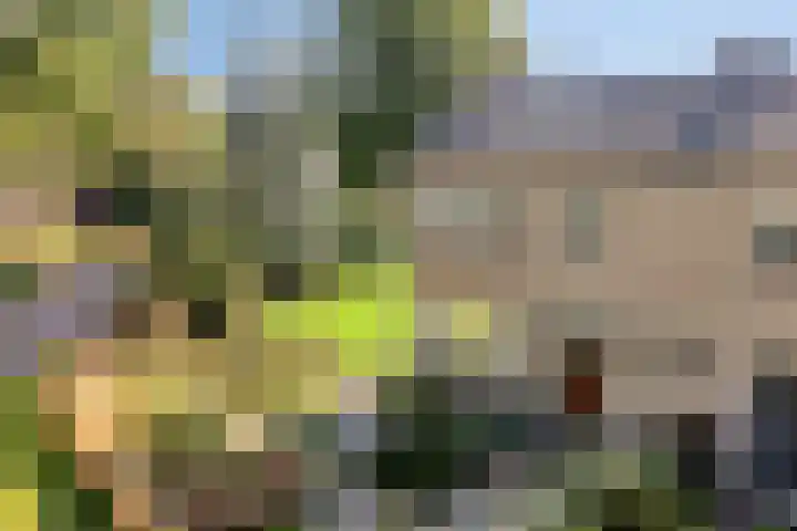 Molencamp 20 Rolde thumbnail 30