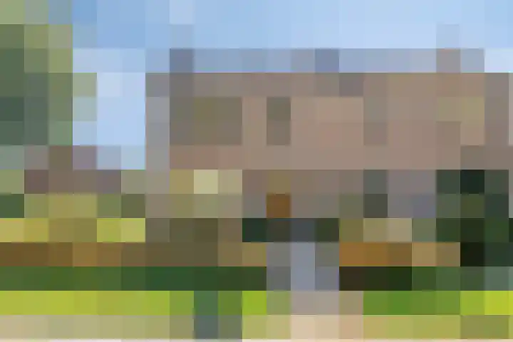 Molencamp 20 Rolde thumbnail 32