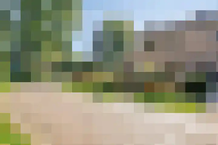 Molencamp 20 Rolde thumbnail 33