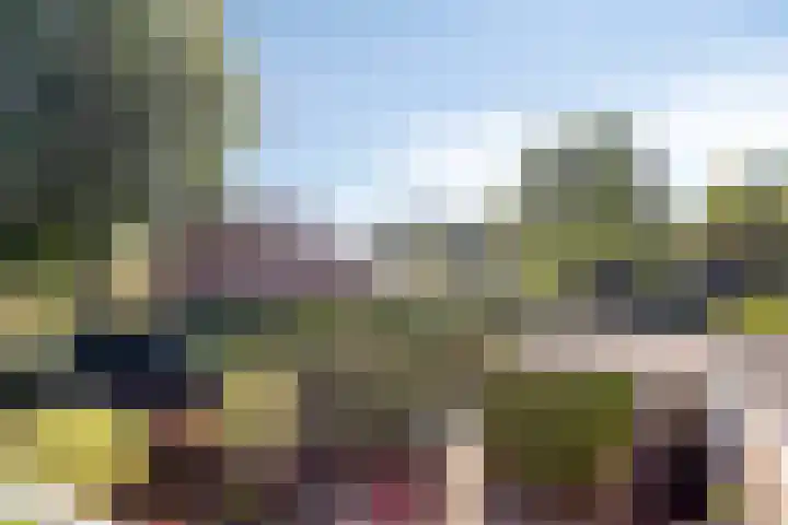 Molencamp 20 Rolde thumbnail 34