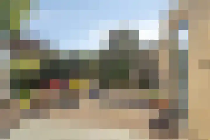 Molencamp 20 Rolde thumbnail 38