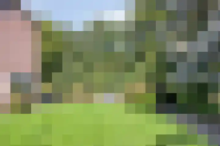 Molencamp 20 Rolde thumbnail 40