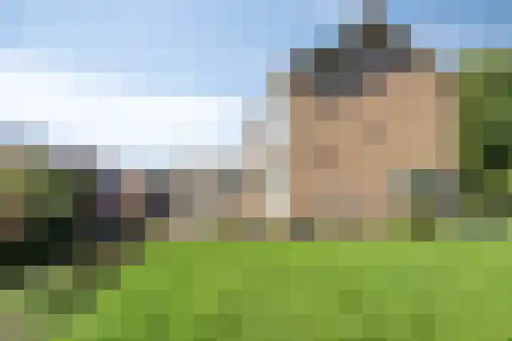 Molencamp 20 Rolde thumbnail 41