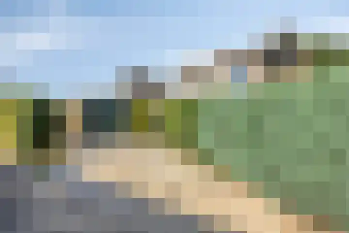 Molencamp 20 Rolde thumbnail 43