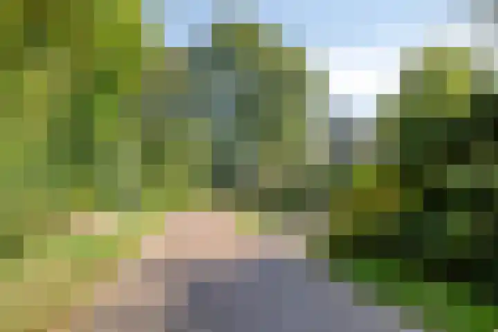 Molencamp 20 Rolde thumbnail 47