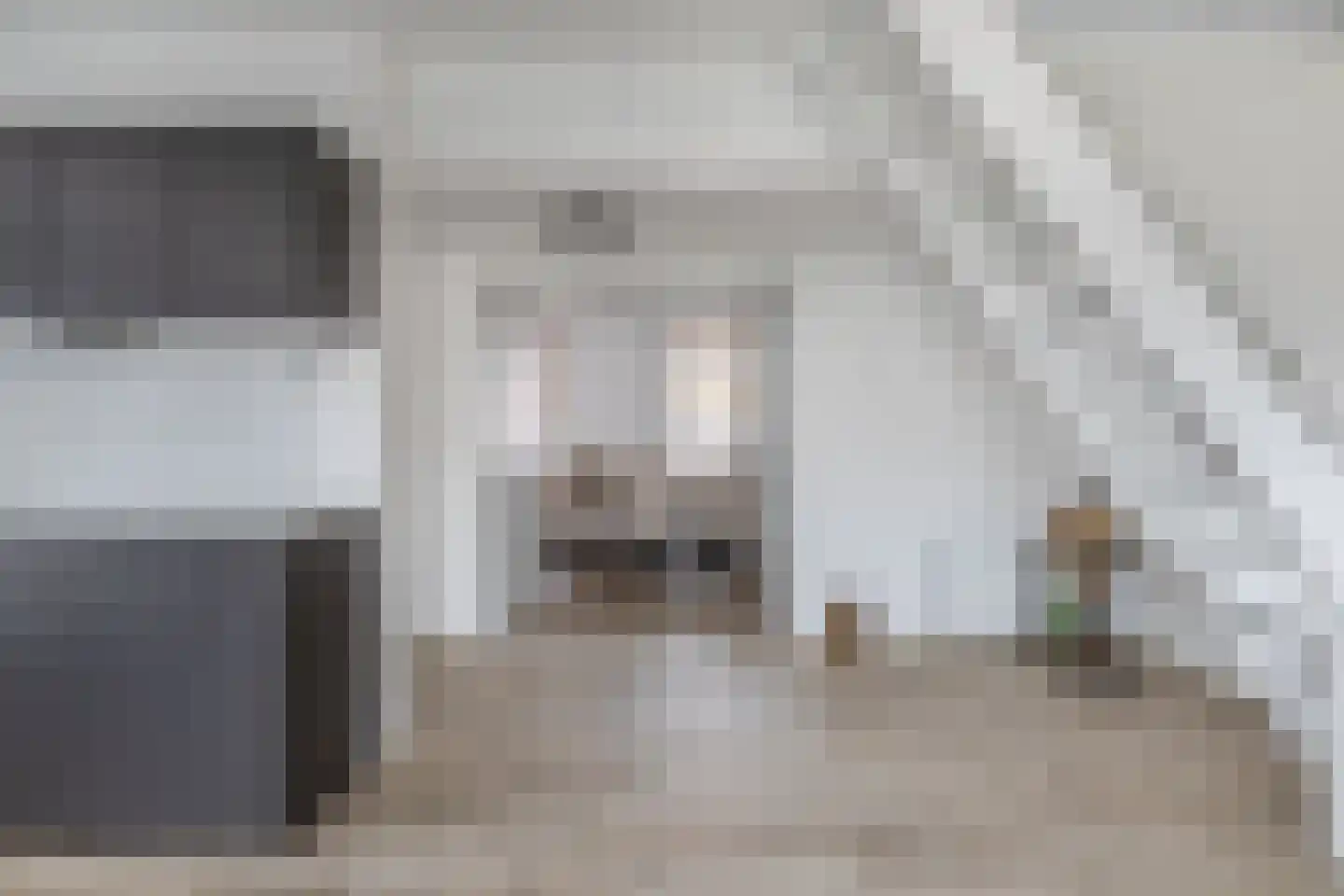 Molendijk 1 a Ooltgensplaat thumbnail 16