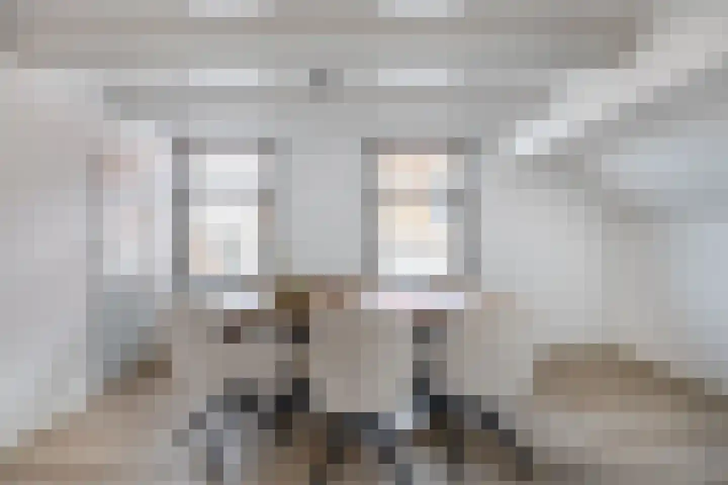 Molendijk 1 a Ooltgensplaat thumbnail 17