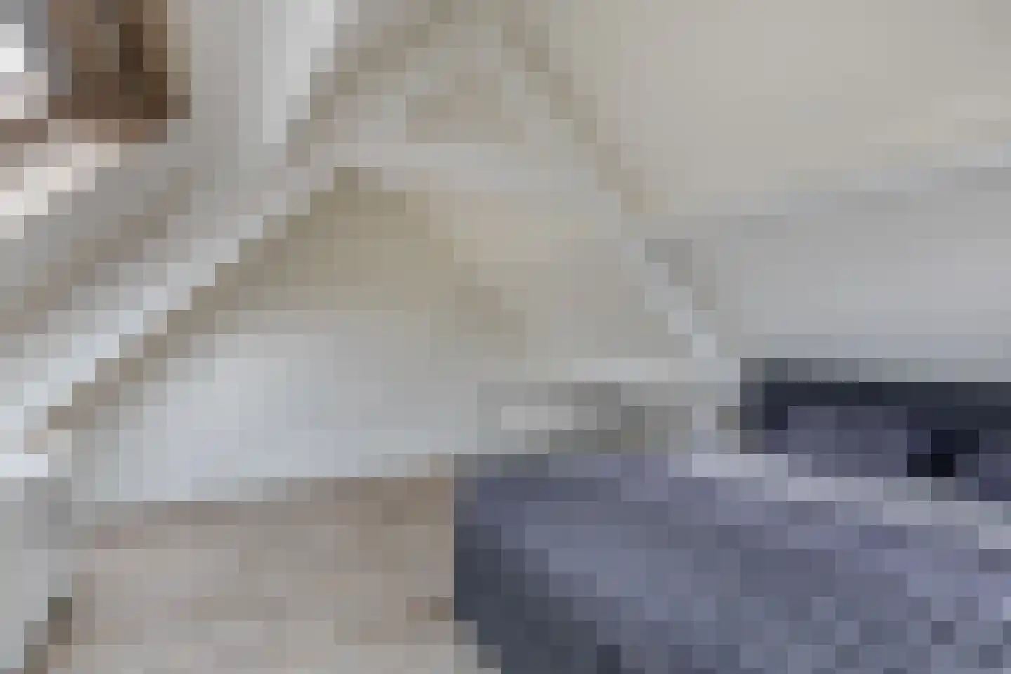 Molendijk 1 a Ooltgensplaat thumbnail 21