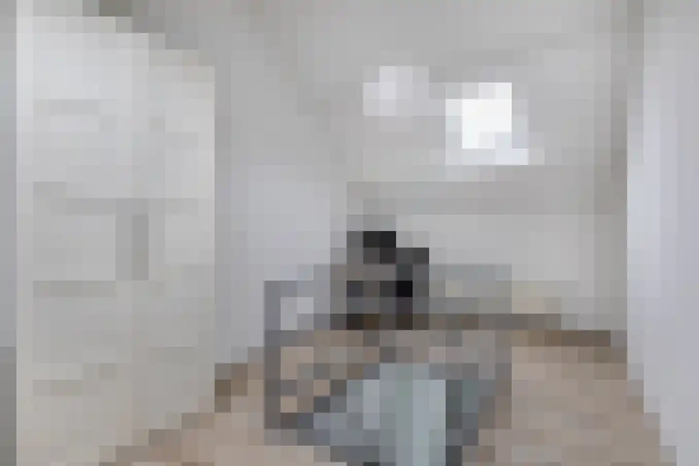 Molendijk 1 a Ooltgensplaat thumbnail 28