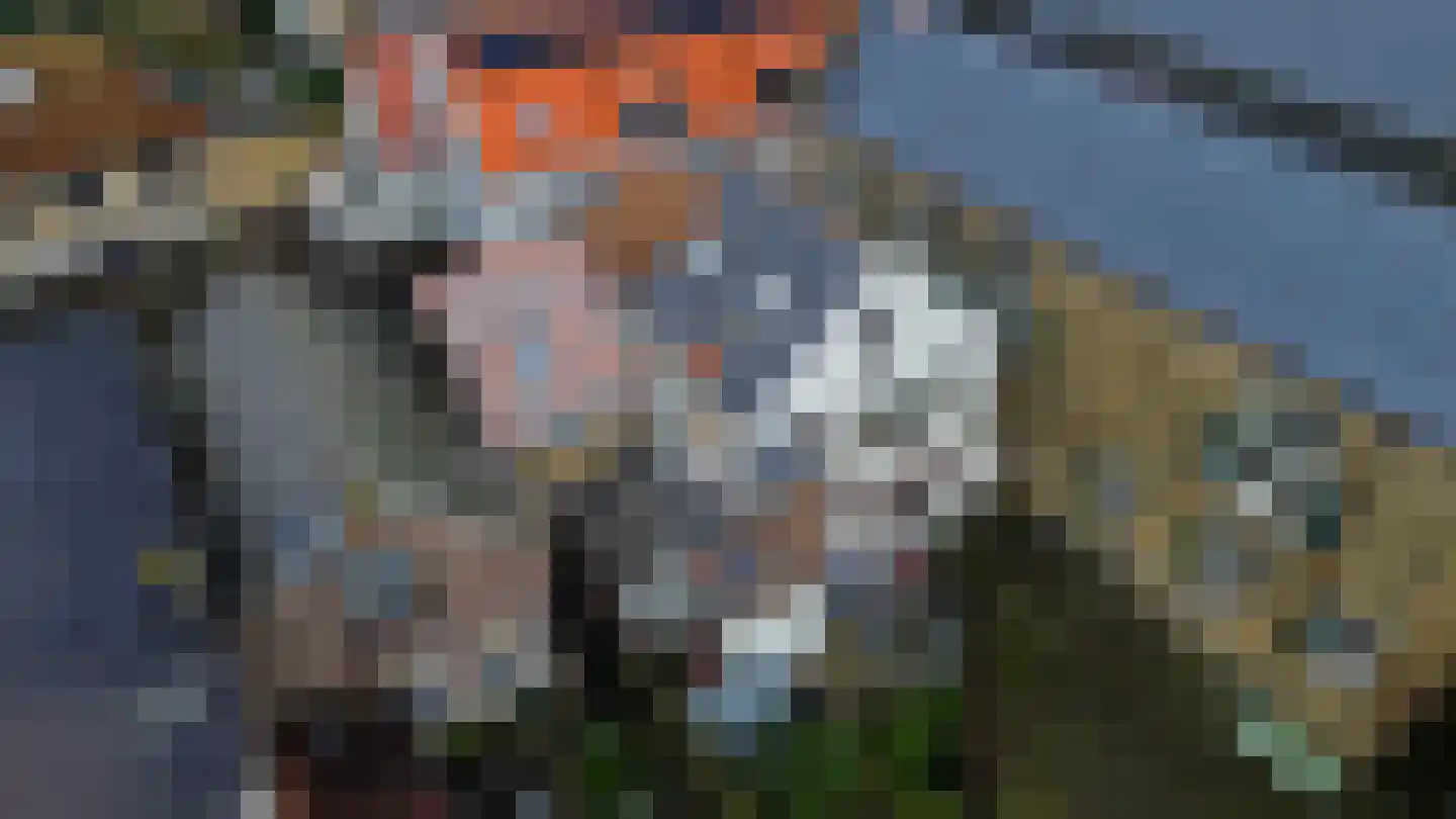 Molendijk 1 a Ooltgensplaat thumbnail 32