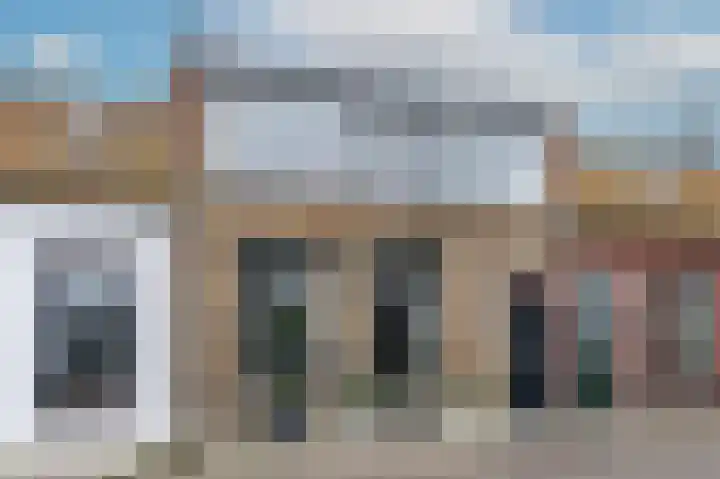 Molendijk 106 dans Nieuwe-Tonge