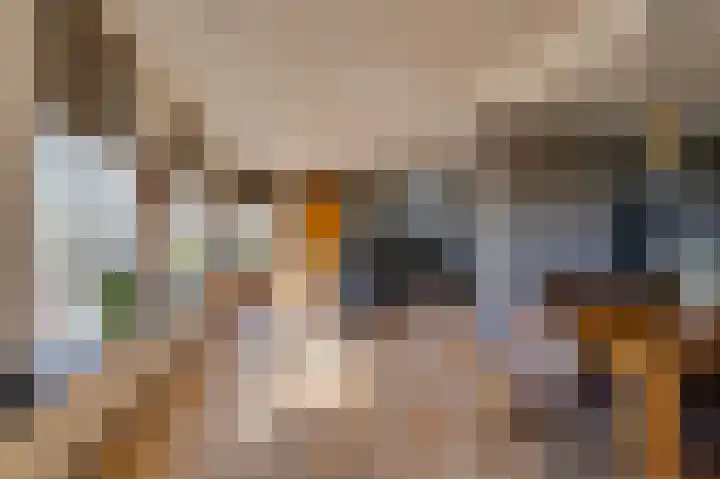 Molendijk 11 Den Bommel thumbnail 11