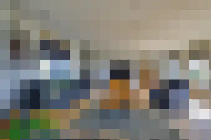 Molendijk 11 Den Bommel thumbnail 19