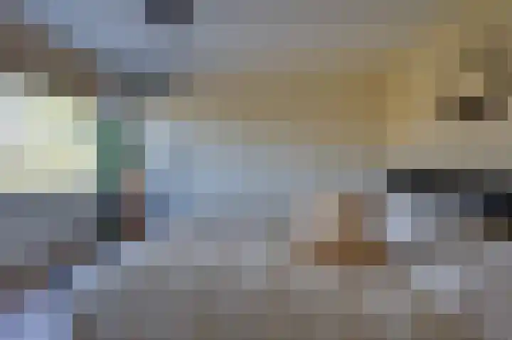 Molendijk 11 Den Bommel thumbnail 23