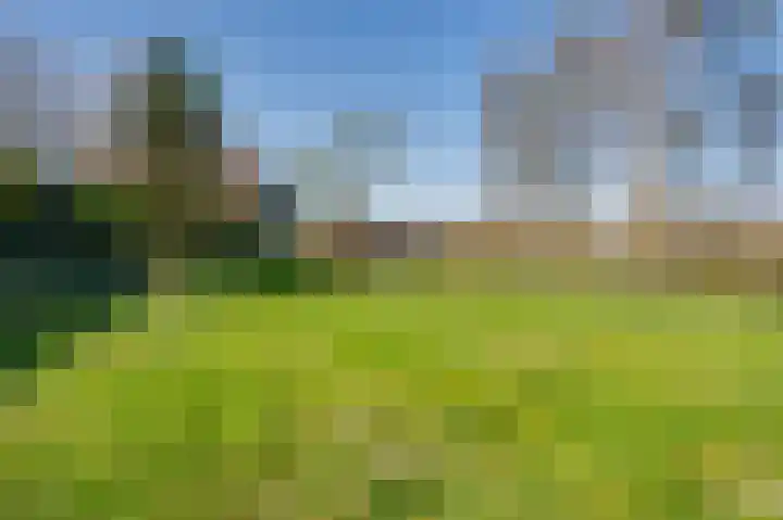 Molendijk 11 Den Bommel thumbnail 43