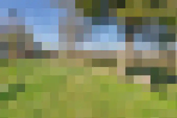 Molendijk 11 Den Bommel thumbnail 44