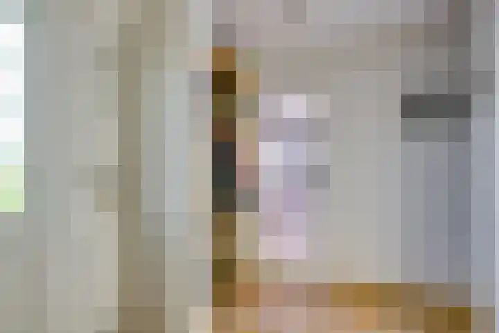 Molendijk 11 Den Bommel thumbnail 8