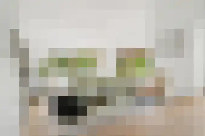 Molendijk 14 Stein thumbnail 16