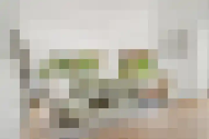 Molendijk 14 Stein thumbnail 17