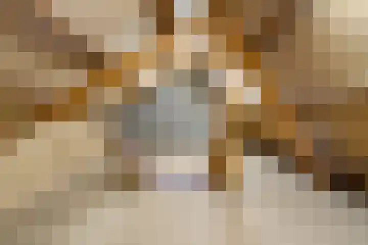 Molendijk 14 Stein thumbnail 27