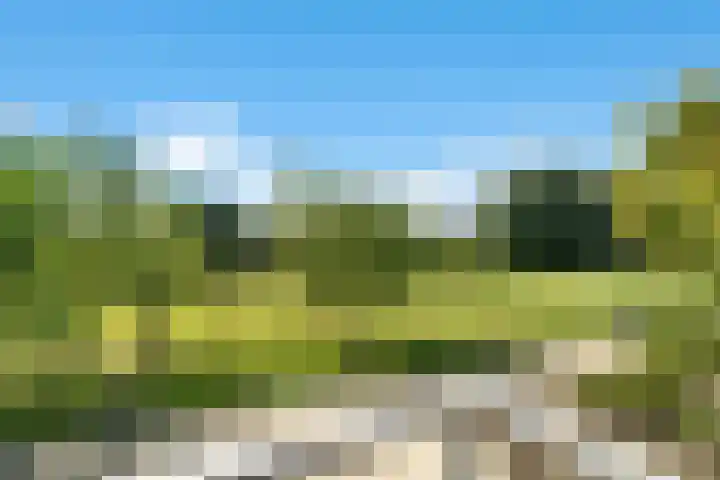 Molendijk 14 Stein foto 3