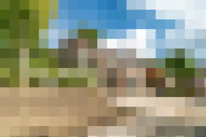 Molendijk 14 Stein thumbnail 34