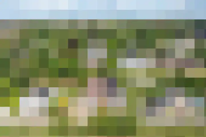 Molendijk 14 Stein thumbnail 36