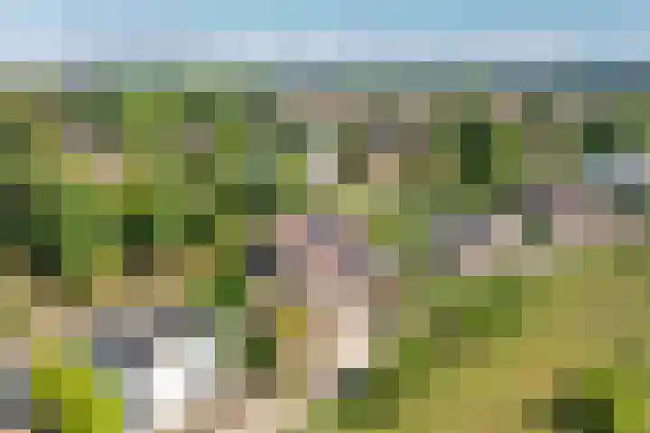 Molendijk 14 Stein thumbnail 37