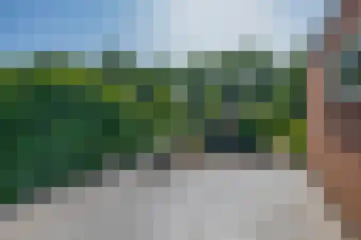 Molendijk 17 Ooltgensplaat thumbnail 30