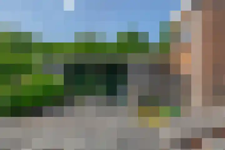 Molendijk 17 Ooltgensplaat thumbnail 41