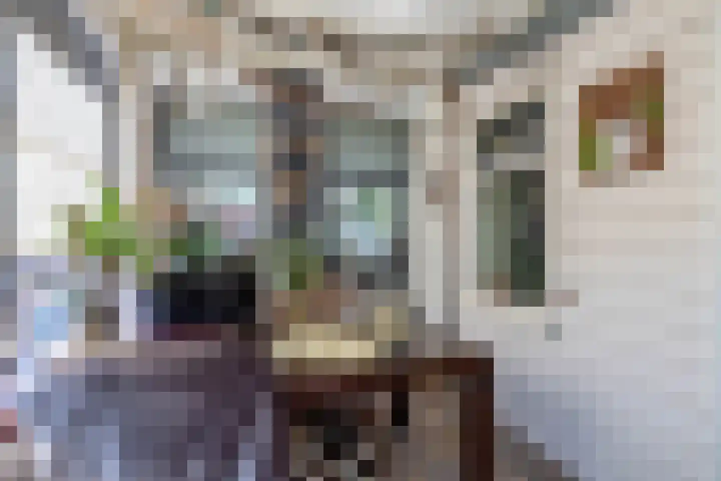 Molendijk 20 Herkingen thumbnail 17