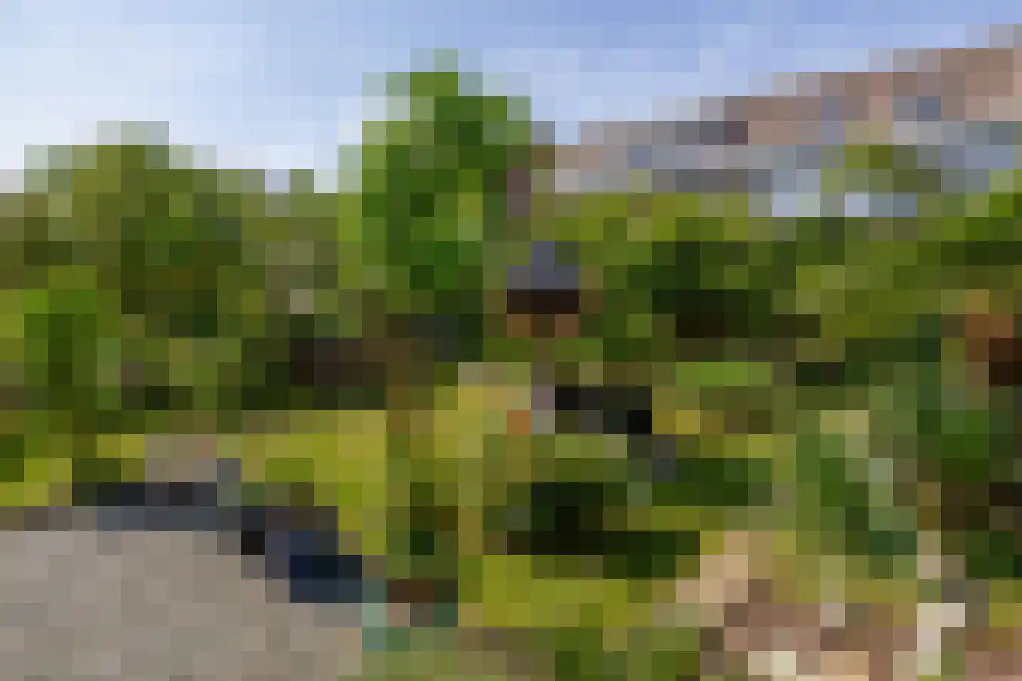 Molendijk 20 Herkingen thumbnail 25
