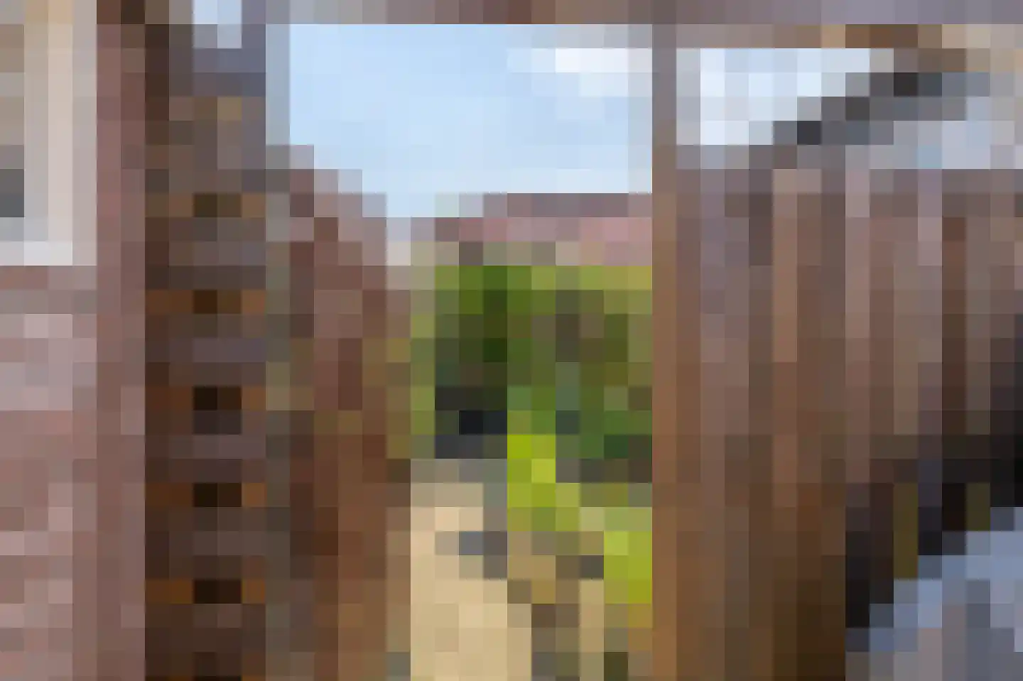Molendijk 20 Herkingen thumbnail 30