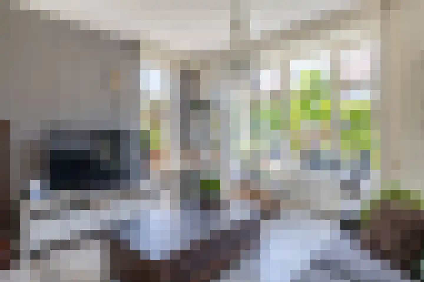 Molendijk 20 Herkingen thumbnail 9