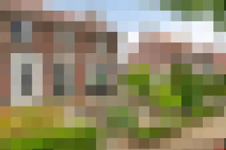 Molendijk 21 's Gravenmoer thumbnail 10