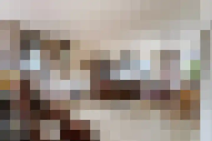 Molendijk 21 's Gravenmoer thumbnail 15