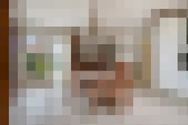 Molendijk 21 's Gravenmoer thumbnail 16