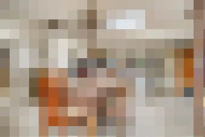 Molendijk 21 's Gravenmoer thumbnail 19