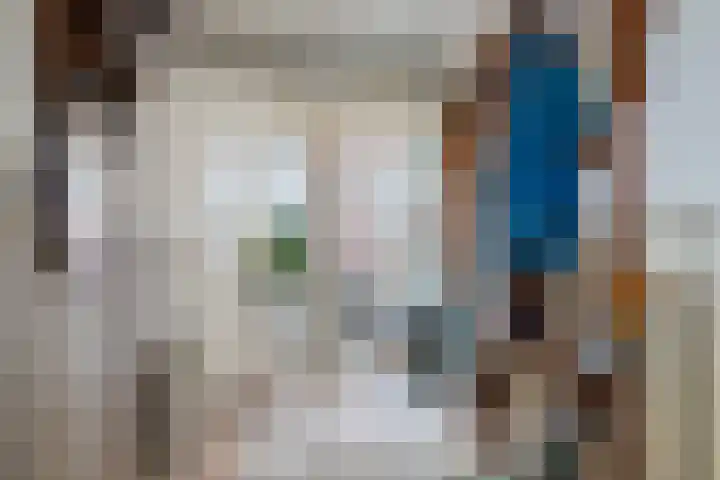 Molendijk 21 's Gravenmoer thumbnail 21