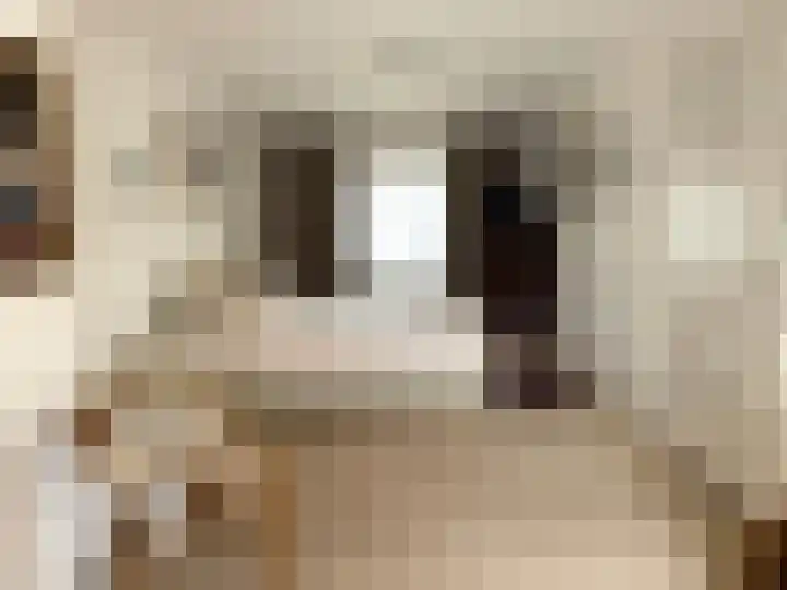 Molendijk 21 's Gravenmoer thumbnail 24