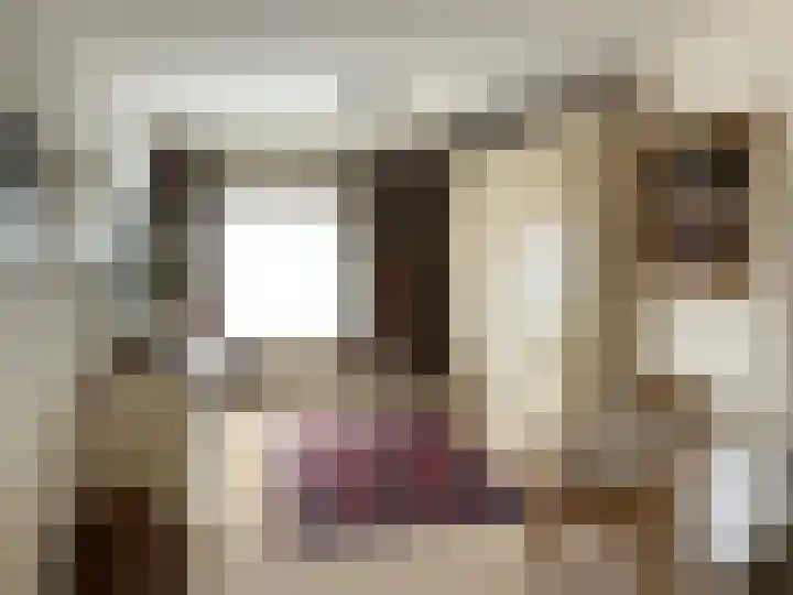 Molendijk 21 's Gravenmoer thumbnail 25