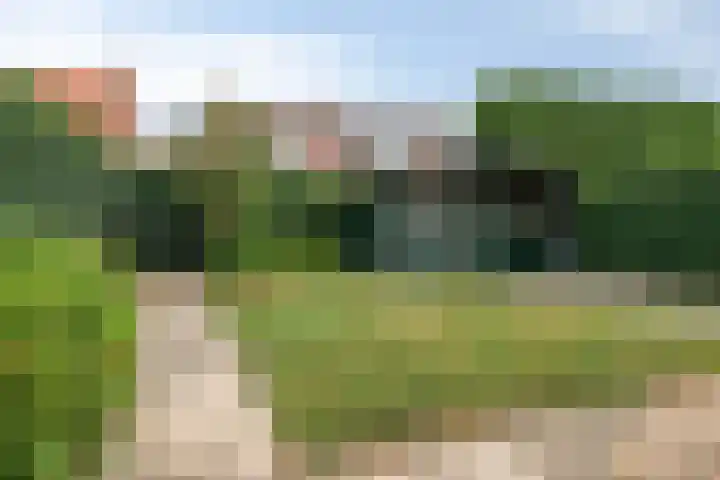Molendijk 21 's Gravenmoer thumbnail 28