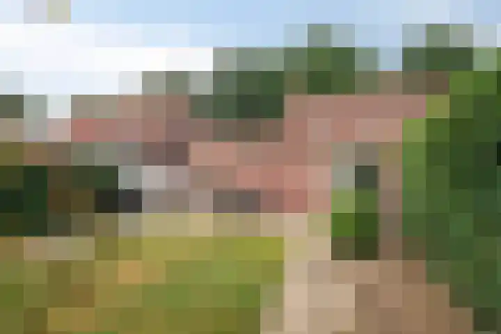 Molendijk 21 's Gravenmoer thumbnail 29