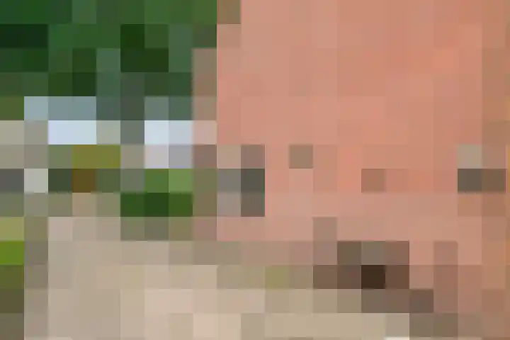Molendijk 21 's Gravenmoer thumbnail 32