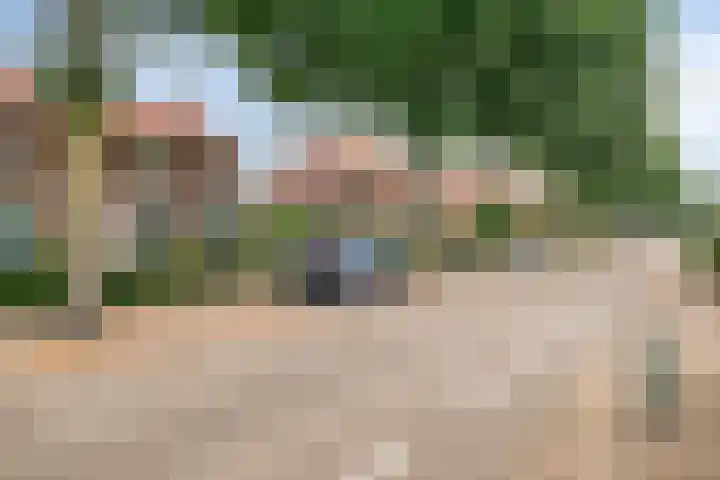 Molendijk 21 's Gravenmoer thumbnail 34